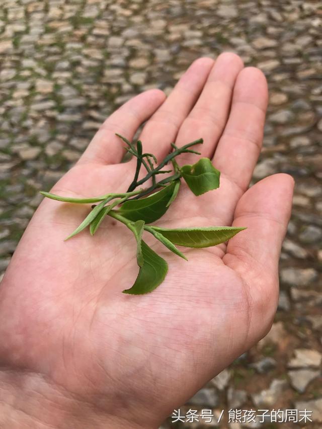 人跡罕至的近反義詞_人跡罕稀的近義詞_人跡罕至的近義詞