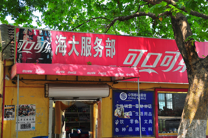 教務(wù)系統(tǒng)鄭大_鄭大教務(wù)在線(xiàn)_教務(wù)管理系統(tǒng)登錄入口鄭州大學(xué)