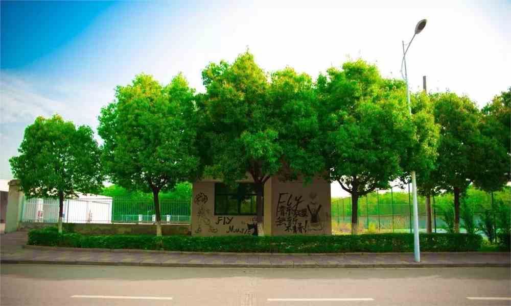 南京航天航空教務管理系統_南京航空航天大學教務處_南京航空航天教務網