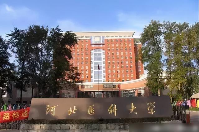 高考錄取查詢河北_錄取高考河北查詢結(jié)果是什么_河北高考錄取結(jié)果查詢