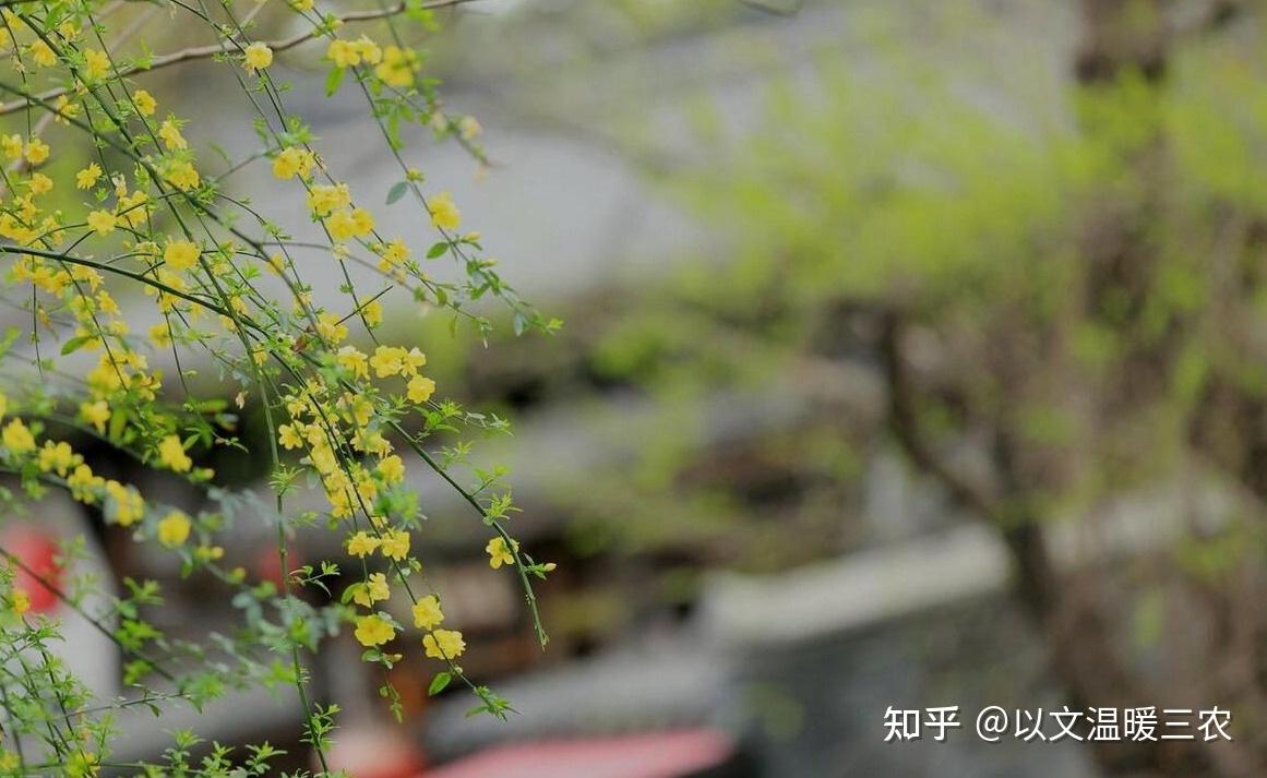 2024年躲春幾點到幾點結束_躲春結束后可以玩手機嗎_躲春結束可以出門嗎