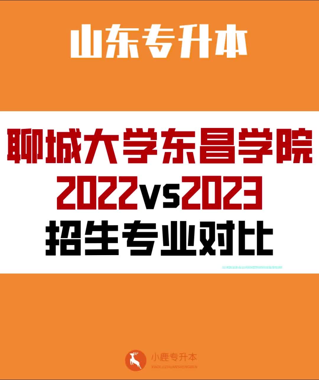 2021年聊城大學入取分數線_錄取分數聊城線大學2024_聊城大學2024錄取分數線