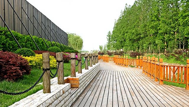 聊城大學的分數_聊城大學是錄取分數線_聊城大學分數線