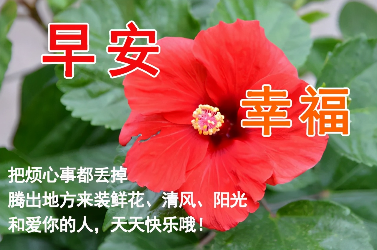 勵志早安文案短句干凈_早安分享勵志唯美句子_勵志的早安文案