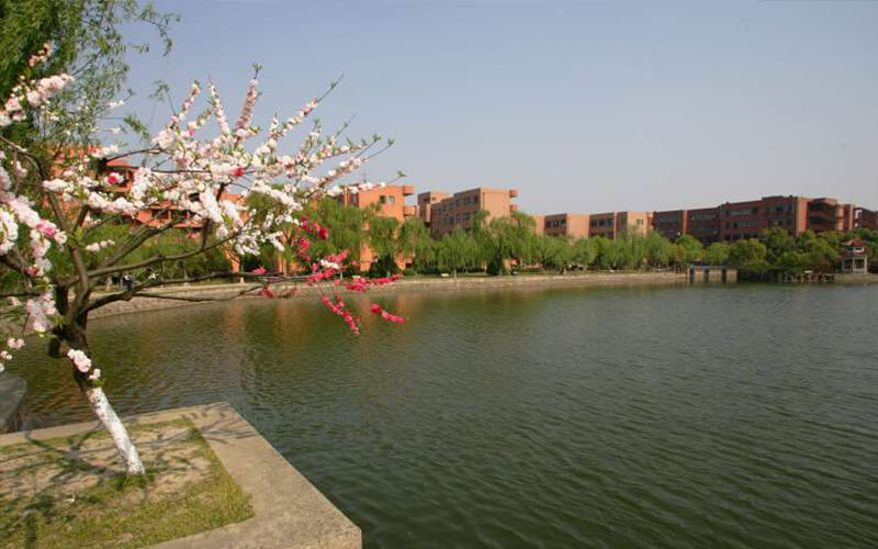 學院交通大學網絡教育招生簡章_交通大學網絡教育學院_交通大學網絡繼續教育學院官網