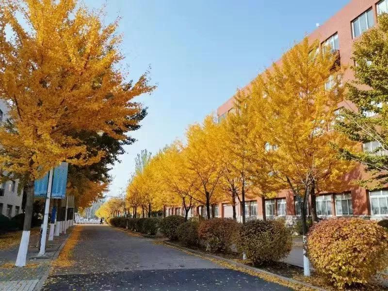 沈陽大專師范學校_沈陽師范大學專科_沈陽師范大學專科學校