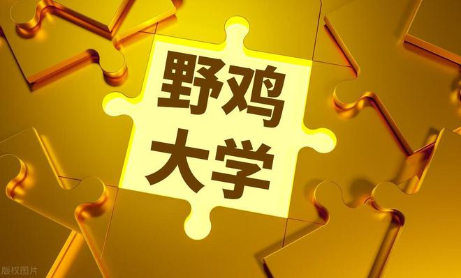 野雞大學叫什么_什么叫野雞大學_“野雞”大學