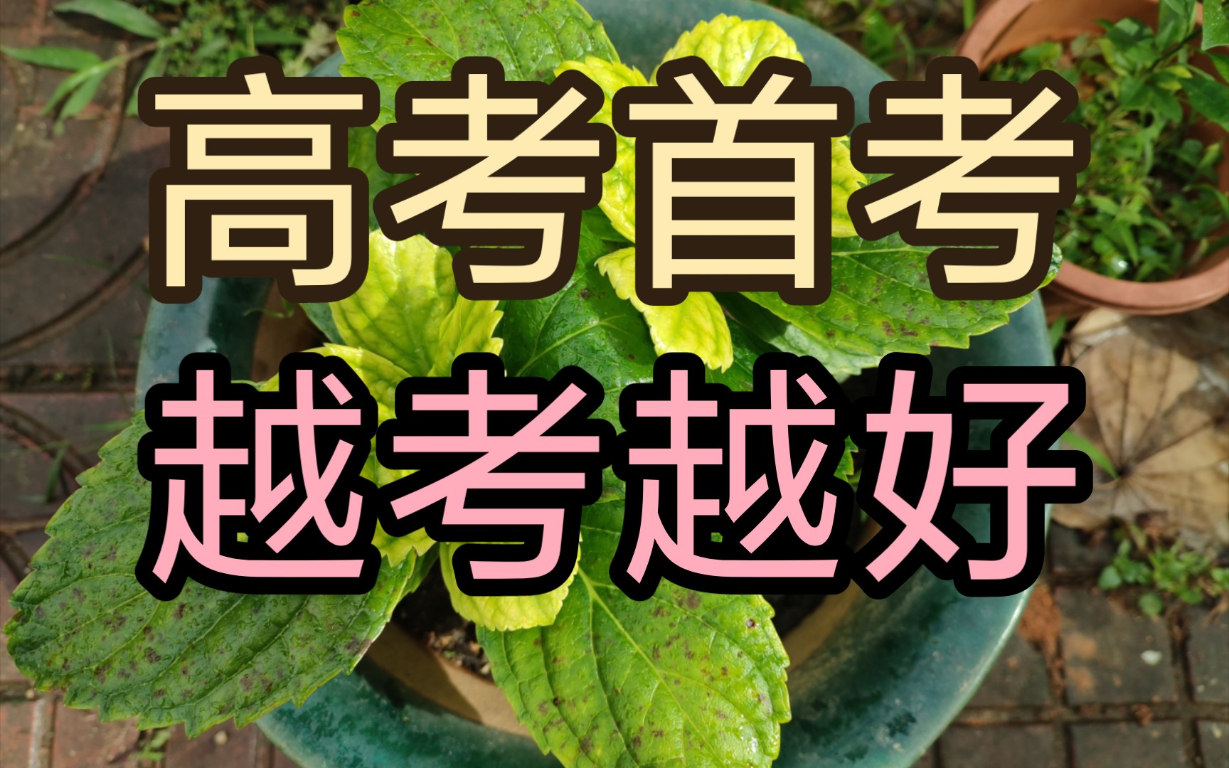 2024年高考考試時間安排表_2022年高考考試時間_高考日期2024