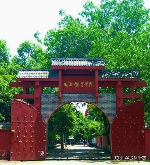 成都體育學院教務處處長_成都體育學院教務處官網_成都體育學院教務處