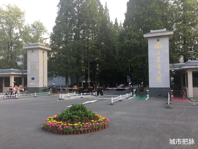 安徽省大學(xué)排名_安徽省的大學(xué)排行榜_安徽省內(nèi)排名大學(xué)