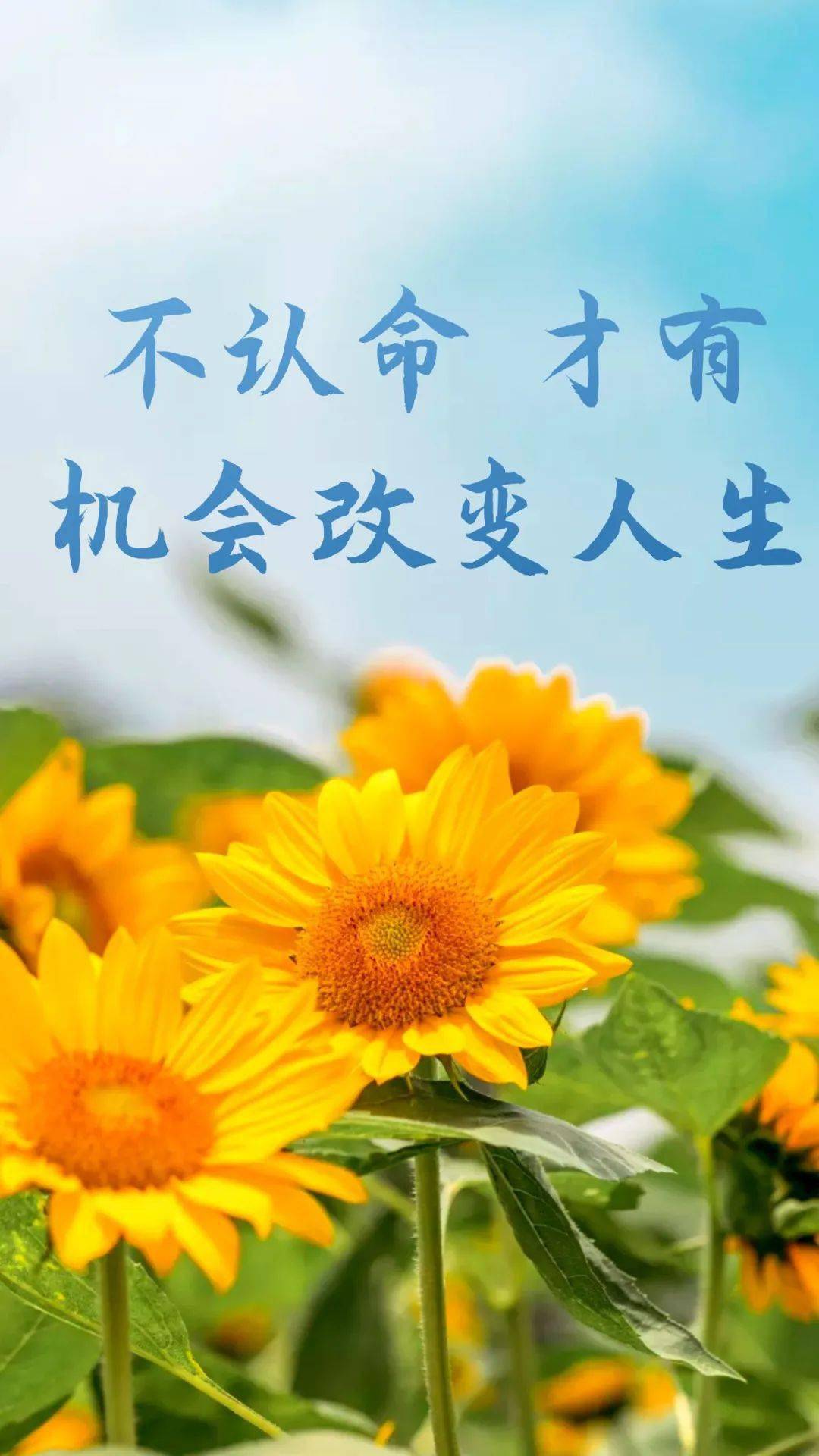 德州學院怎么樣_徳州學院_德州學院百科