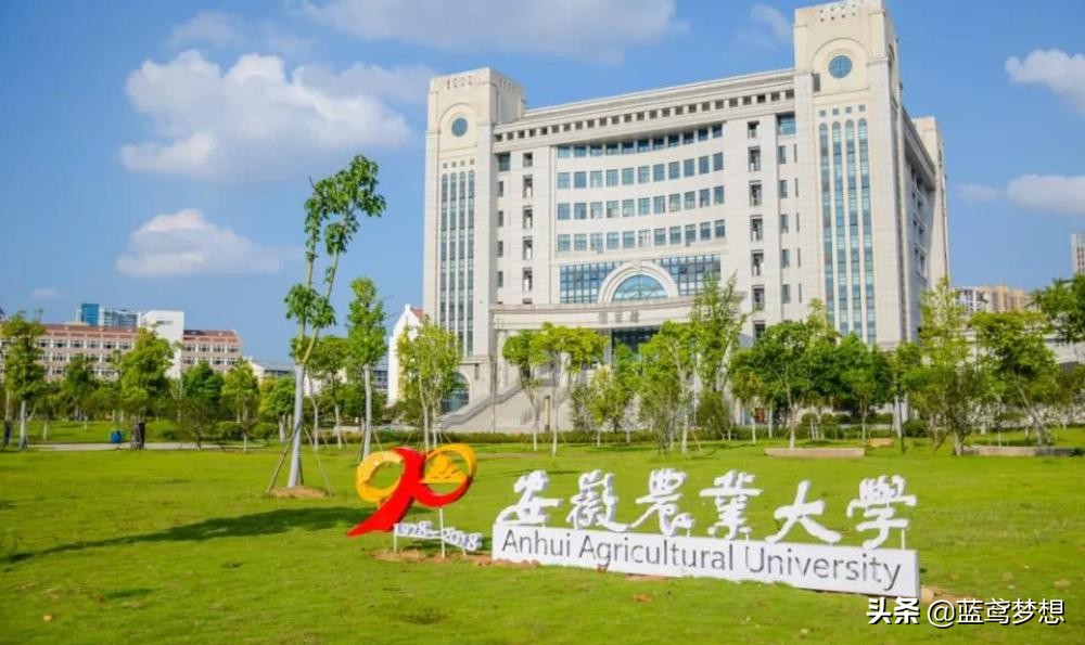 河南本省的大學(xué)排名_河南省三本院校排名_河南省內(nèi)院校排名