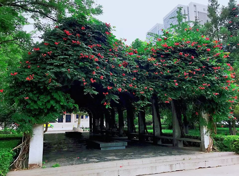 承德醫(yī)學院2020錄取結(jié)果_承德醫(yī)學院錄取位次_承德醫(yī)學院2024年錄取分數(shù)線