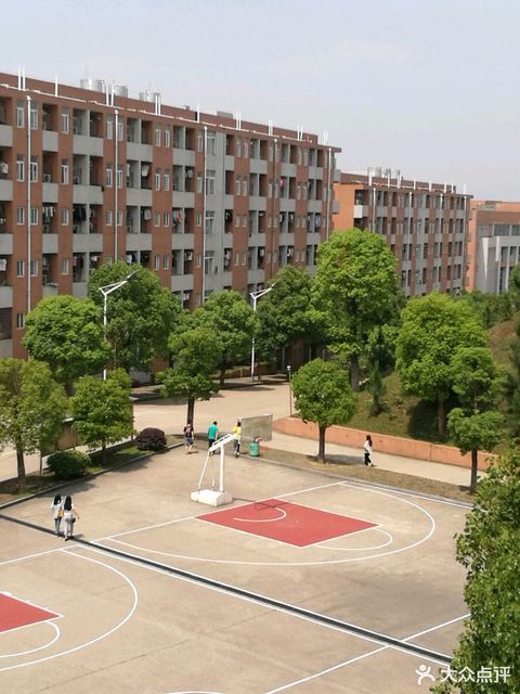 湖南林業(yè)科技大學(xué)是雙一流嗎_湖南林業(yè)科技大學(xué)幾本_湖南林科大專業(yè)排名