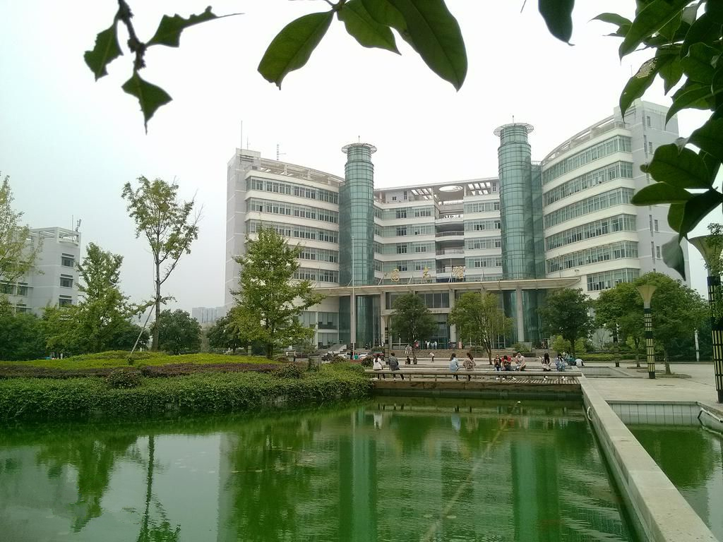 湖南林業(yè)科技大學(xué)幾本_湖南林業(yè)科技大學(xué)是雙一流嗎_湖南林科大專業(yè)排名