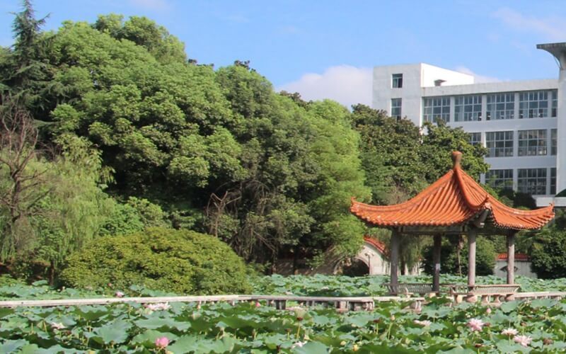 湖北老牌二本大學_湖北最棒的二本大學_湖北最爛二本大學