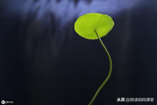 疼愛反義詞是什么標準答案_疼愛的反義詞和近義詞_疼愛的反義詞是什么