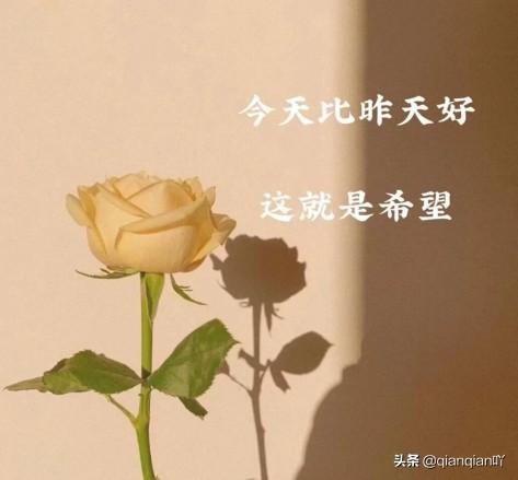 霸氣簽名個性簽名_最霸氣的個性簽名_霸氣簽名個性簽名成語