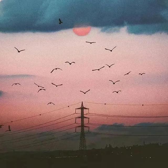 歲月時(shí)節(jié)如流這句話出自_歲月不居時(shí)節(jié)如流這句話出自什么文言文_歲月不居時(shí)節(jié)如流這句話出自什么文言文