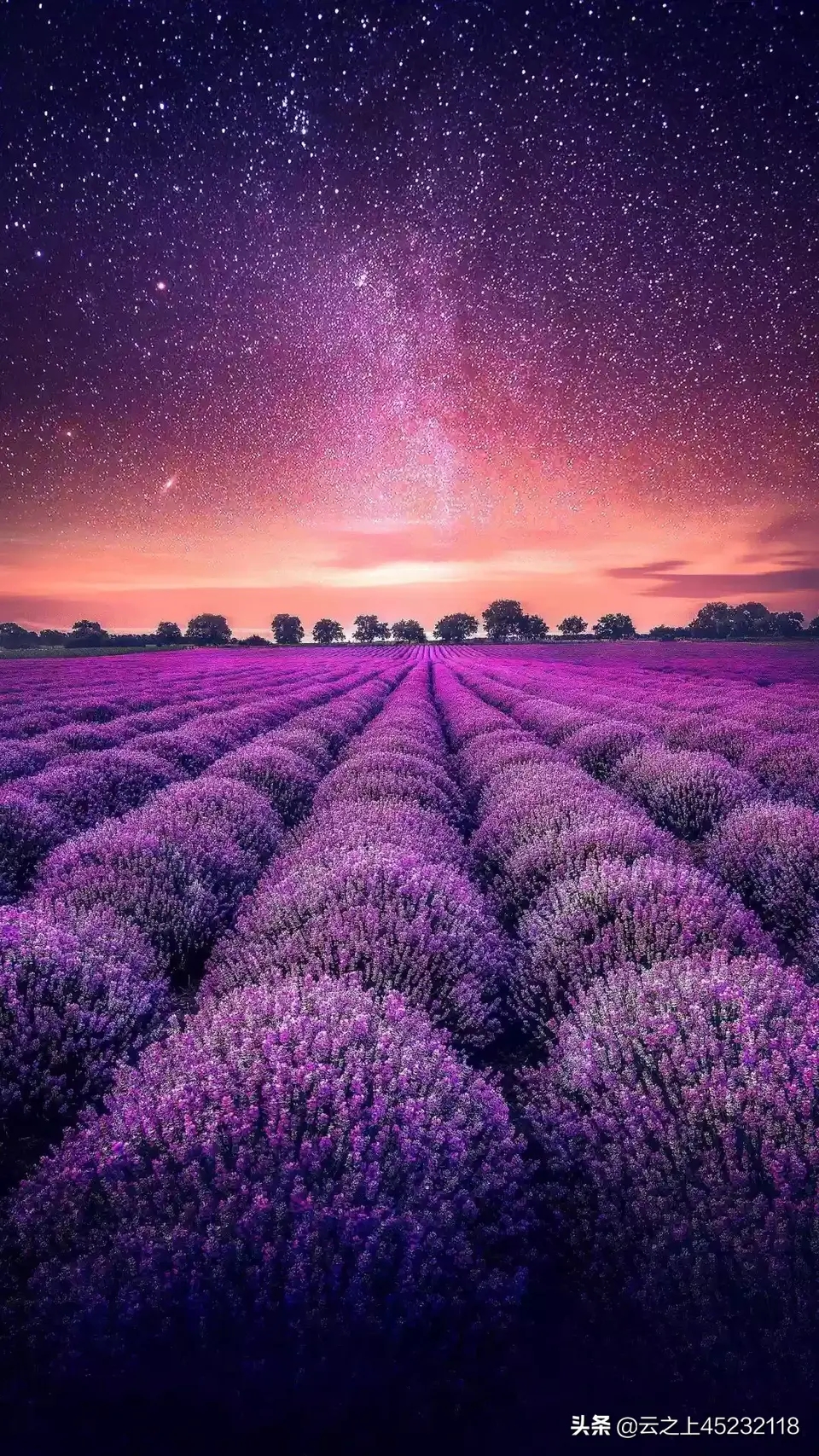 反義詞卑躬屈膝_卑躬屈膝的反義詞和近義詞_卑躬屈膝的反義詞