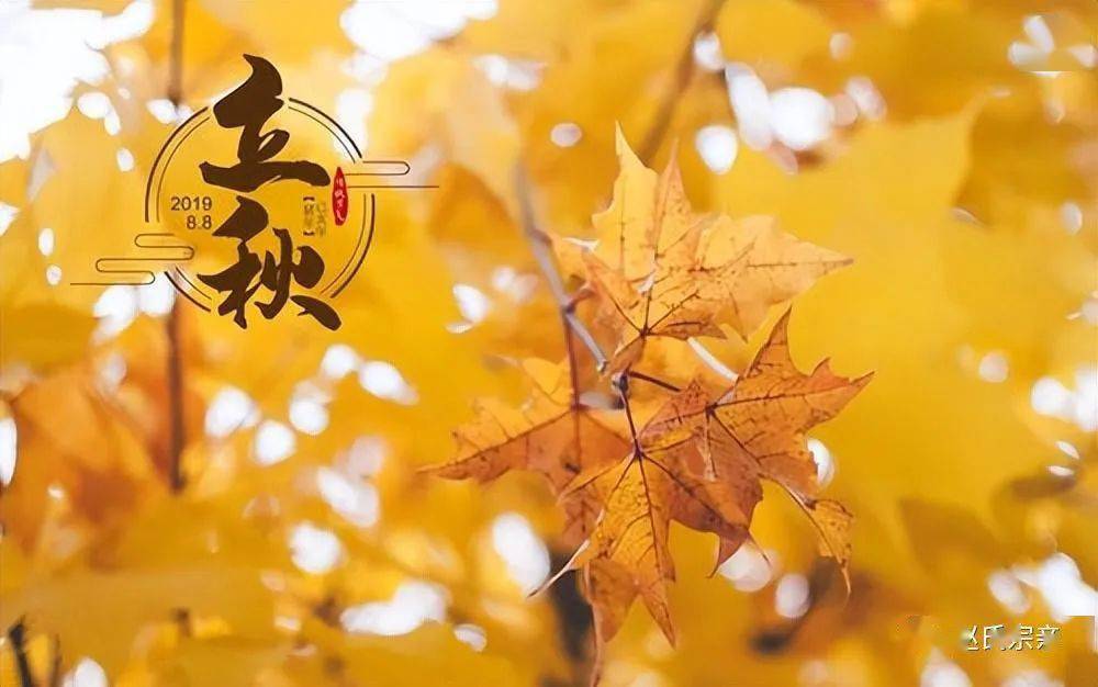 今年立秋是幾點幾分_今年立秋幾時幾分_立秋今年是什么時候