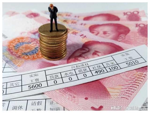 熱門專業(yè)有哪些專業(yè)_熱門專業(yè)排名前十名理科_十大熱門專業(yè)