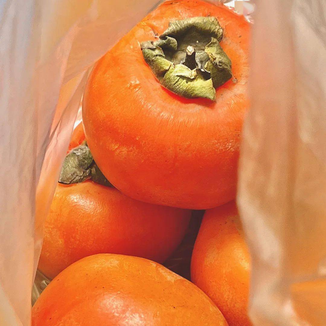 中考錄取線分數_中考錄取分數線一覽表2023_中考錄取分數線包括哪些成績