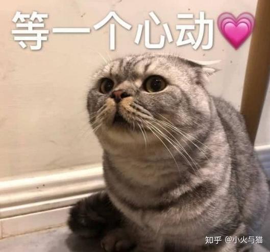 東平考試信息網_東平縣人才招聘_東平人事考試網