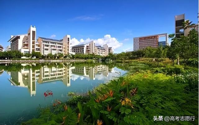 2024年海南醫學院分數線_2024年海南醫學院分數線_2020年海南醫學院多少分