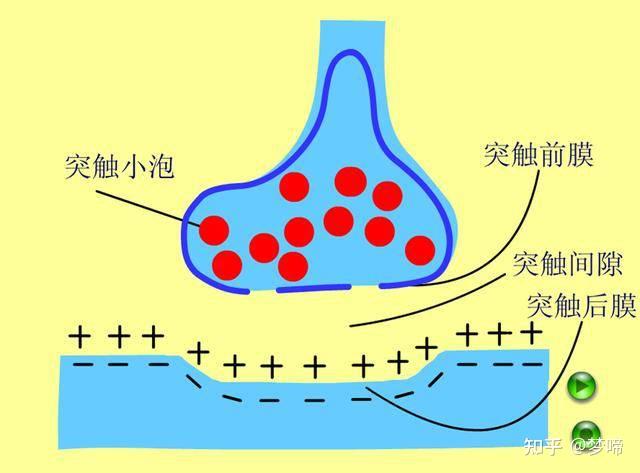 訓(xùn)練大腦的方法_大腦訓(xùn)練方法有哪些_30種大腦訓(xùn)練方法