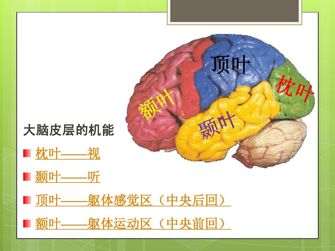 訓(xùn)練大腦的方法_大腦訓(xùn)練方法有哪些_30種大腦訓(xùn)練方法