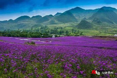 銅仁地區(qū)人事局_銅仁地區(qū)人事局_銅仁地區(qū)人事局