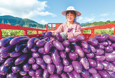 銅仁地區(qū)人事局_銅仁地區(qū)人事局_銅仁地區(qū)人事局