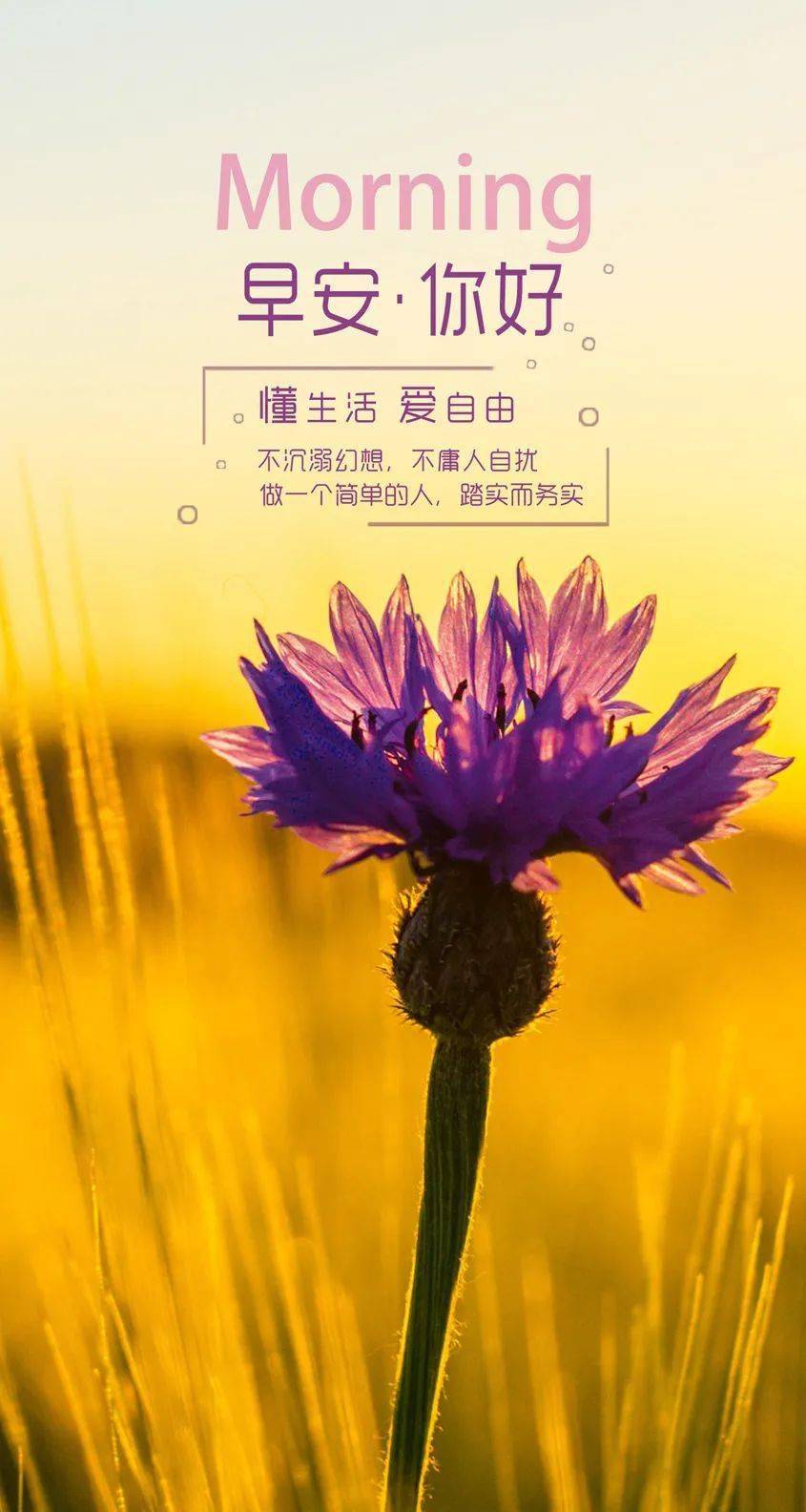 起床賺錢的早安勵志語_發朋友圈早安起床掙錢的句子_早安起床賺錢的說說