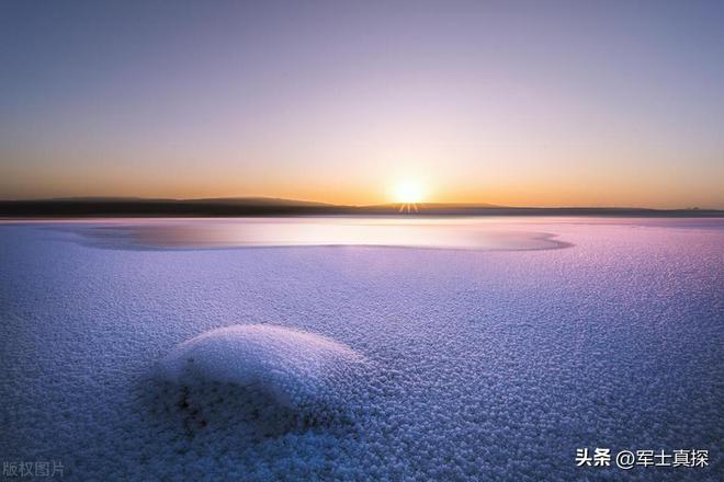 重慶電力高等專科學(xué)校畢業(yè)去向_重慶電力高等專科學(xué)校就業(yè)_重慶電力高等專科學(xué)校就業(yè)網(wǎng)