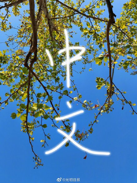 內羅畢的聯合國機構_聯合國4個辦事中心_