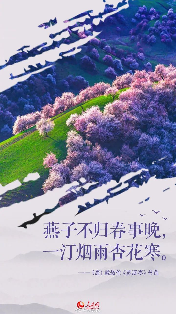 內羅畢的聯合國機構_聯合國4個辦事中心_