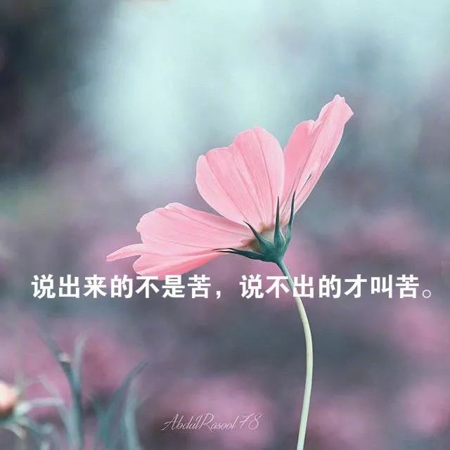 夫妻生氣說說心情短語_夫妻生氣句子說說心情_生氣句子夫妻說說心情圖片