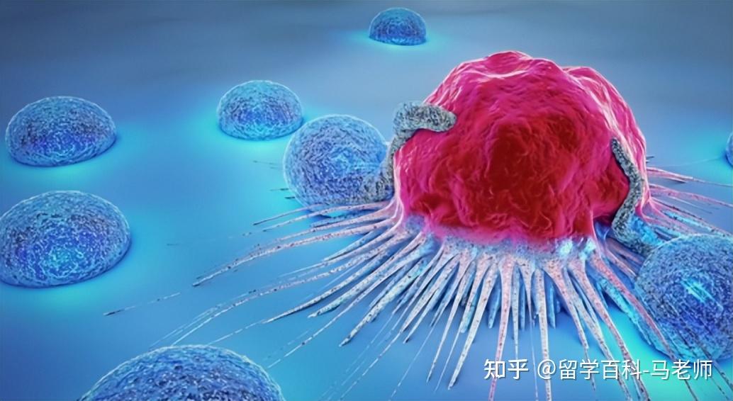 科學(xué)生命專業(yè)就業(yè)前景_生命科學(xué)專業(yè)_生命科學(xué)學(xué)的是什么