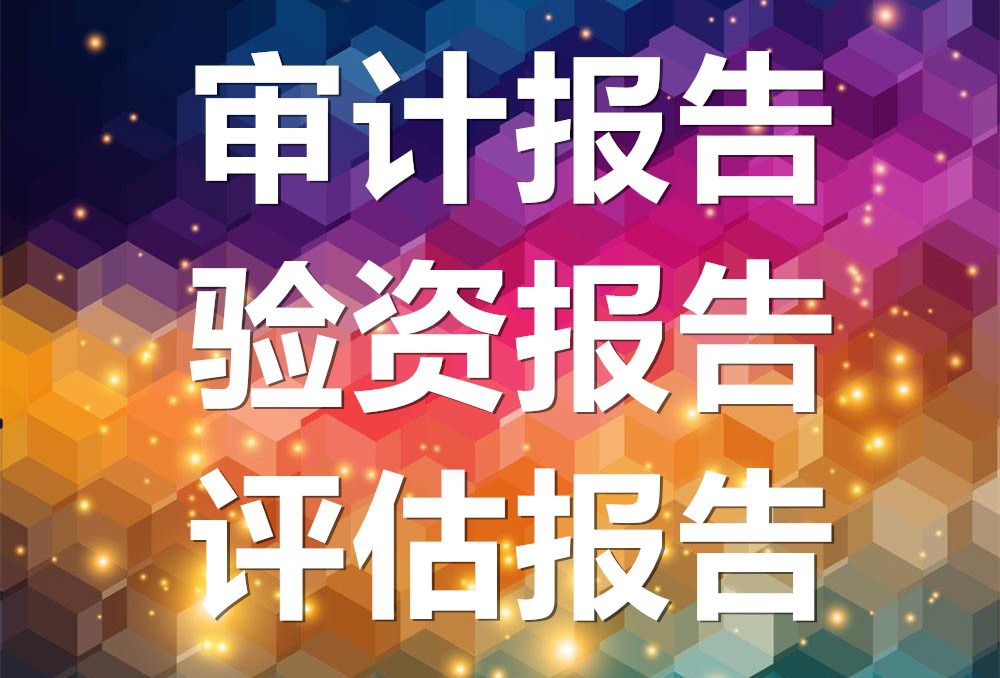 整改審計報告發文通知范文_審計報告的整改報告怎么寫_審計整改報告
