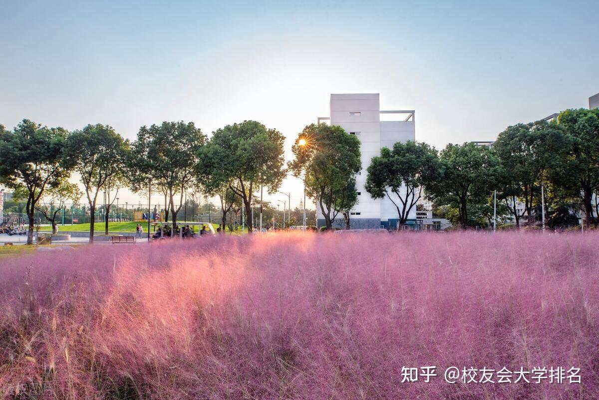 專業排行2021_2020專業排行_專業排名2023最新排名