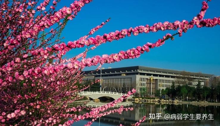廣東省韶關市大學錄取分數線_韶關大學分數線_廣東省韶關市韶關大學分數線