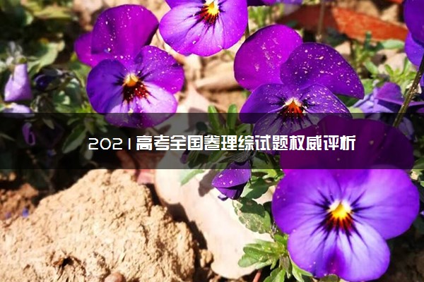 高考試卷解析版_高考試卷甲卷答案_2024全國甲卷高考文綜試題答案解析