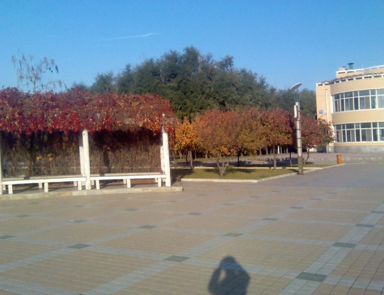 沈陽醫學院新生宿舍分配_沈陽醫學院學生宿舍_沈陽醫學院宿舍