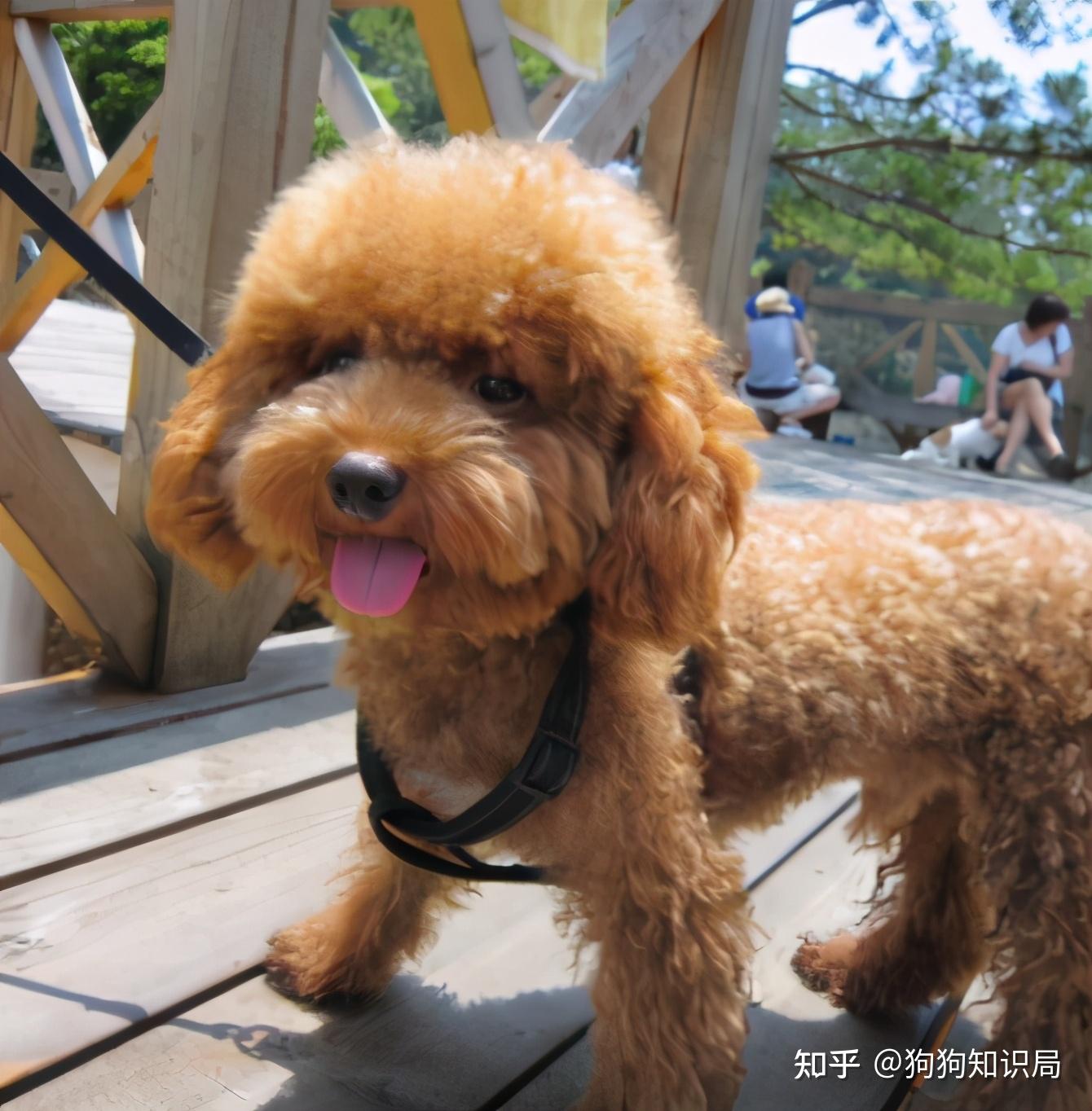 什么是服從專業_專業服從填是否還是服從_專業服從什么意思