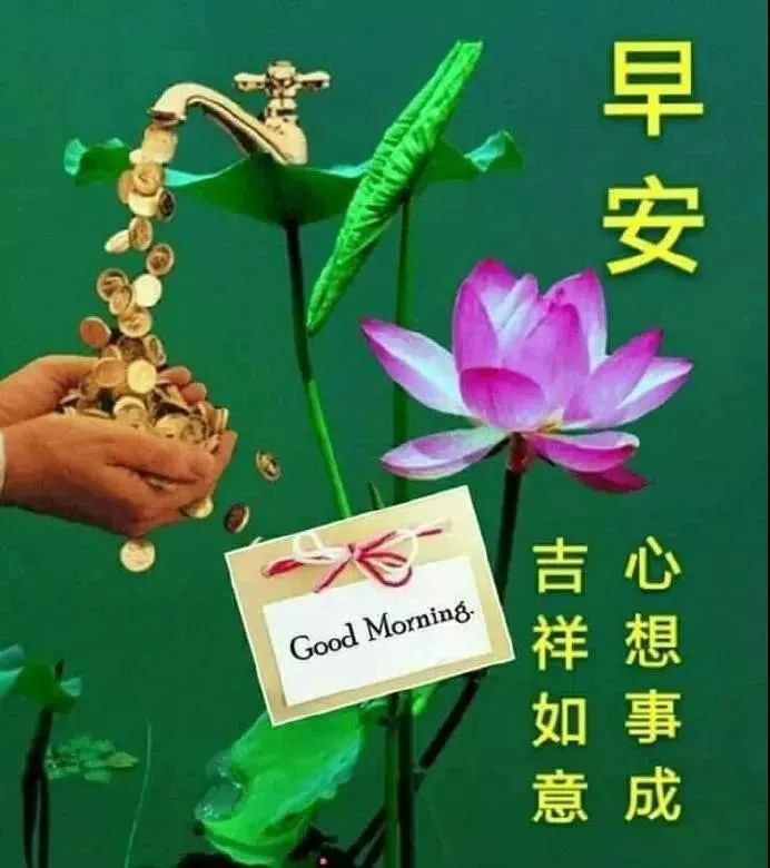 空間暖心留言八個字朋友_暖心的空間留言_給女朋友空間留言暖心