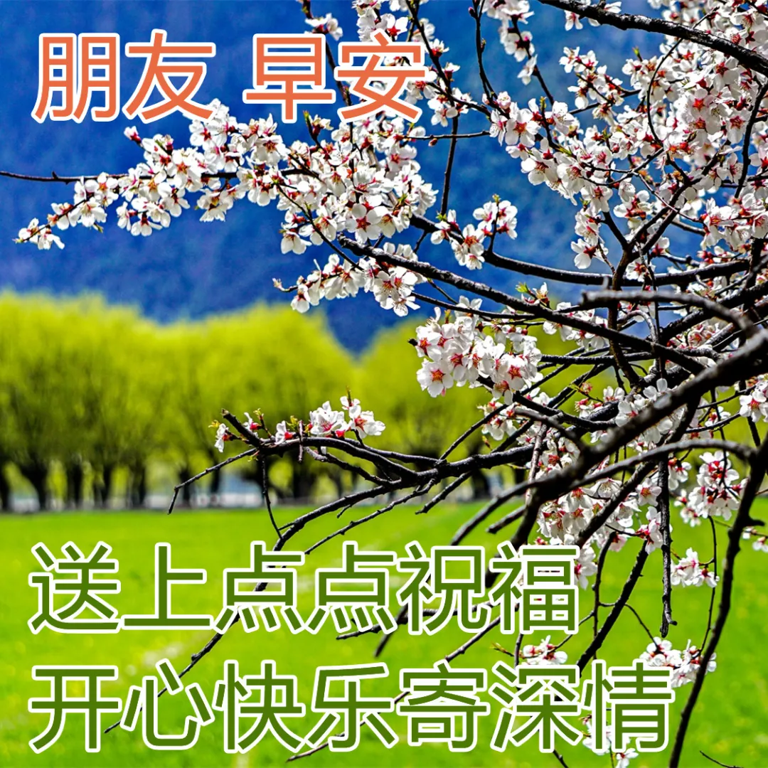 給女朋友空間留言暖心_暖心的空間留言_空間暖心留言八個字朋友
