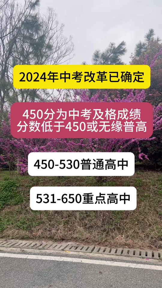 2021宣城中考查詢_宣城中考查分網(wǎng)站登錄_2024年宣城中考成績查詢