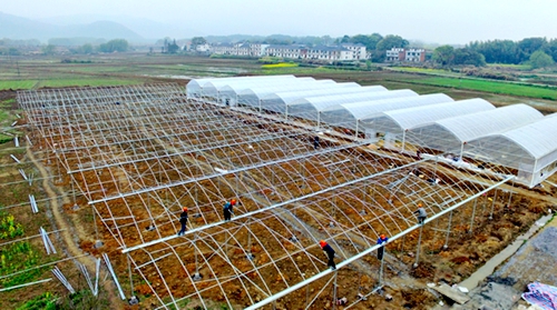 滁州學院職業技術學院_滁州學院職業本科_滁州職業學院