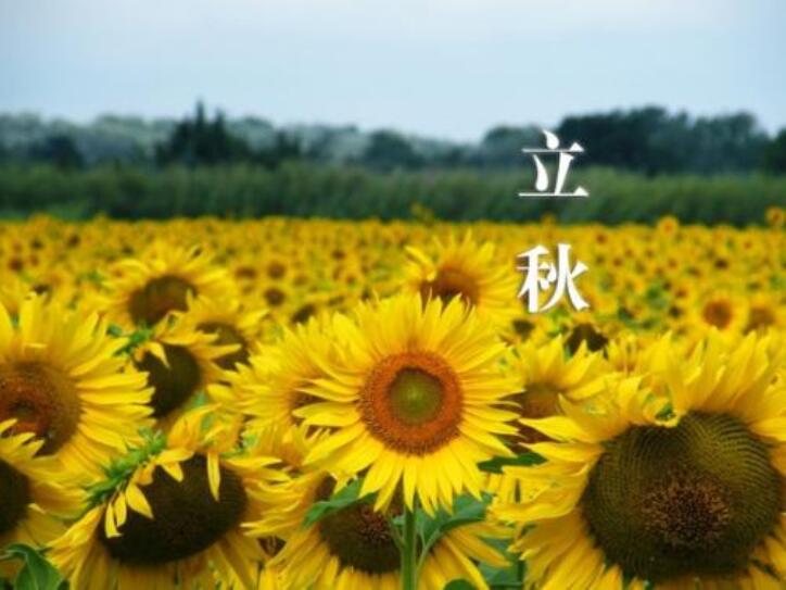 2021幾點幾分幾秒立秋_立秋時間幾點幾分幾秒_立秋是幾點幾分幾秒